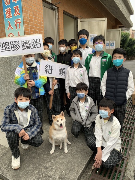 柴犬照片6