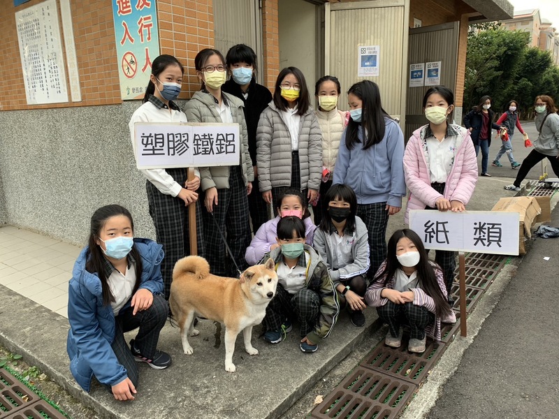 柴犬照片7