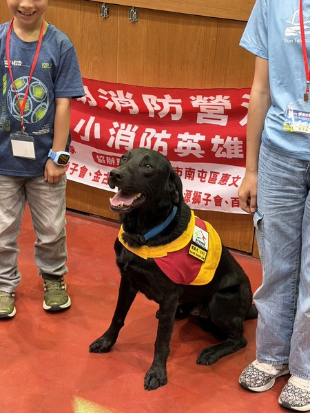 圖片說明